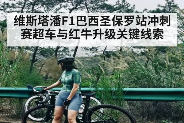 维斯塔潘F1巴西圣保罗站冲刺赛超车与红牛升级关键线索 | c7c7.app